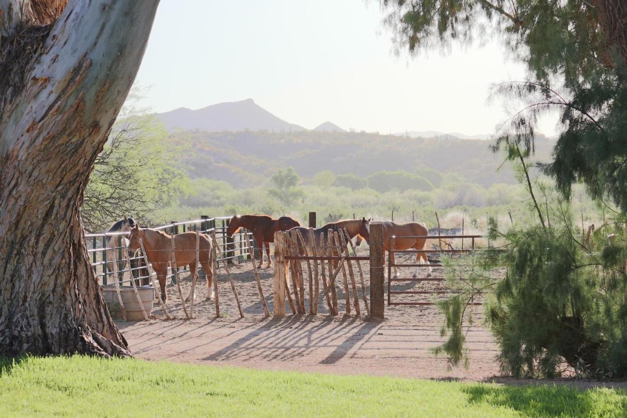 Kay El Bar Guest Ranch Ξενοδοχείο Wickenburg Εξωτερικό φωτογραφία