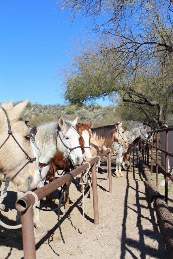 Kay El Bar Guest Ranch Ξενοδοχείο Wickenburg Εξωτερικό φωτογραφία
